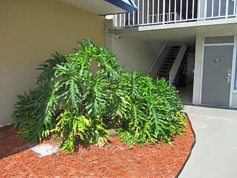 Photo of Buildings in Titusville