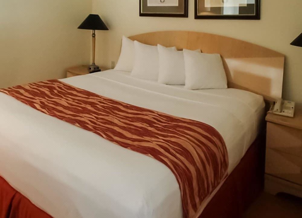 Photo of Bedroom in South Miami