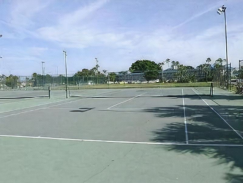 Photo of Others in Pinellas Point