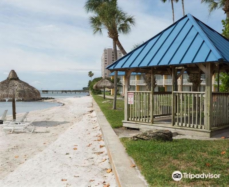 Photo of Buildings in Pinellas Point