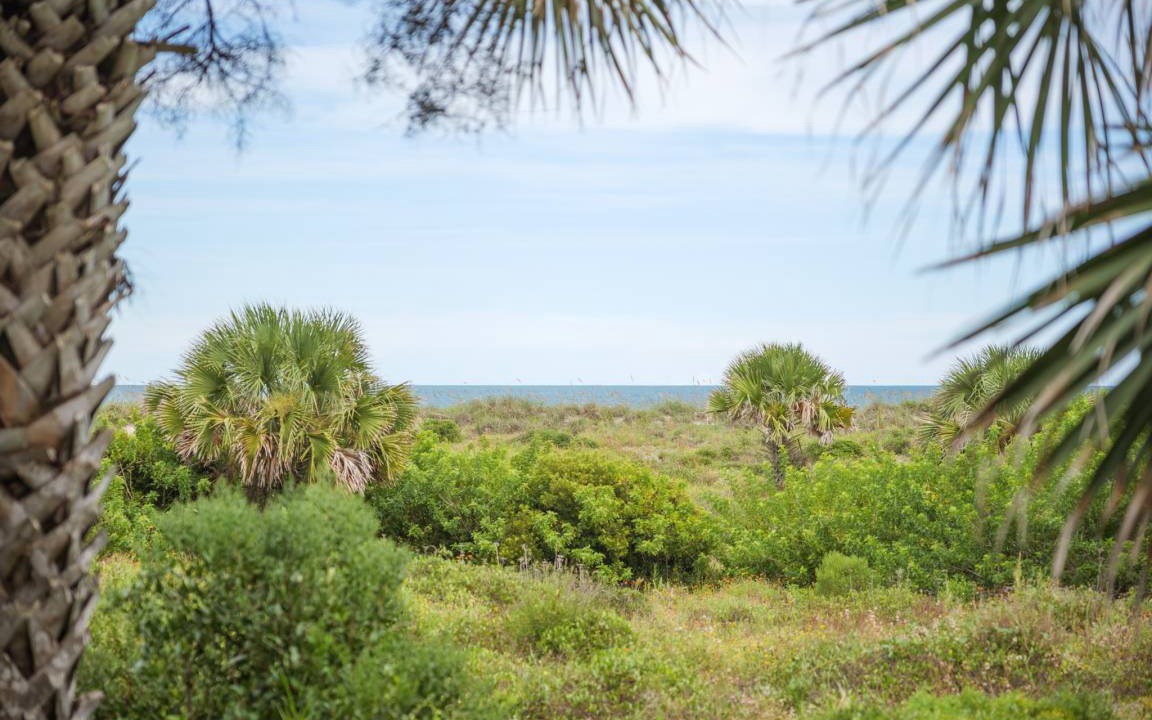 Photo of Others in Butler Beach