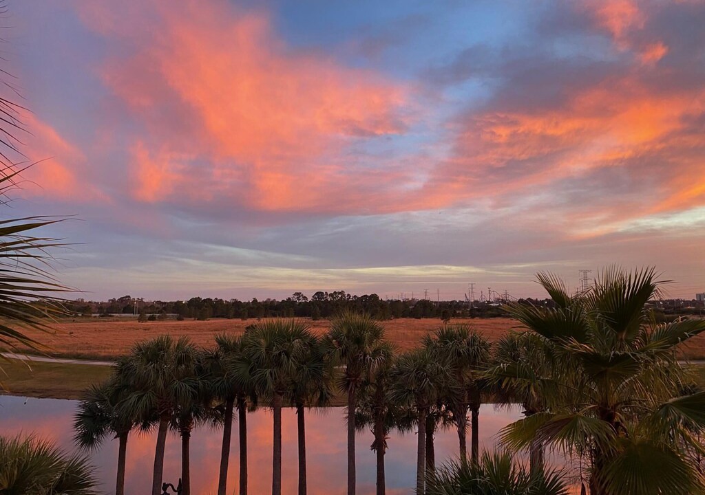 Photo of Outdoor in Florida Central Atlantic Coast