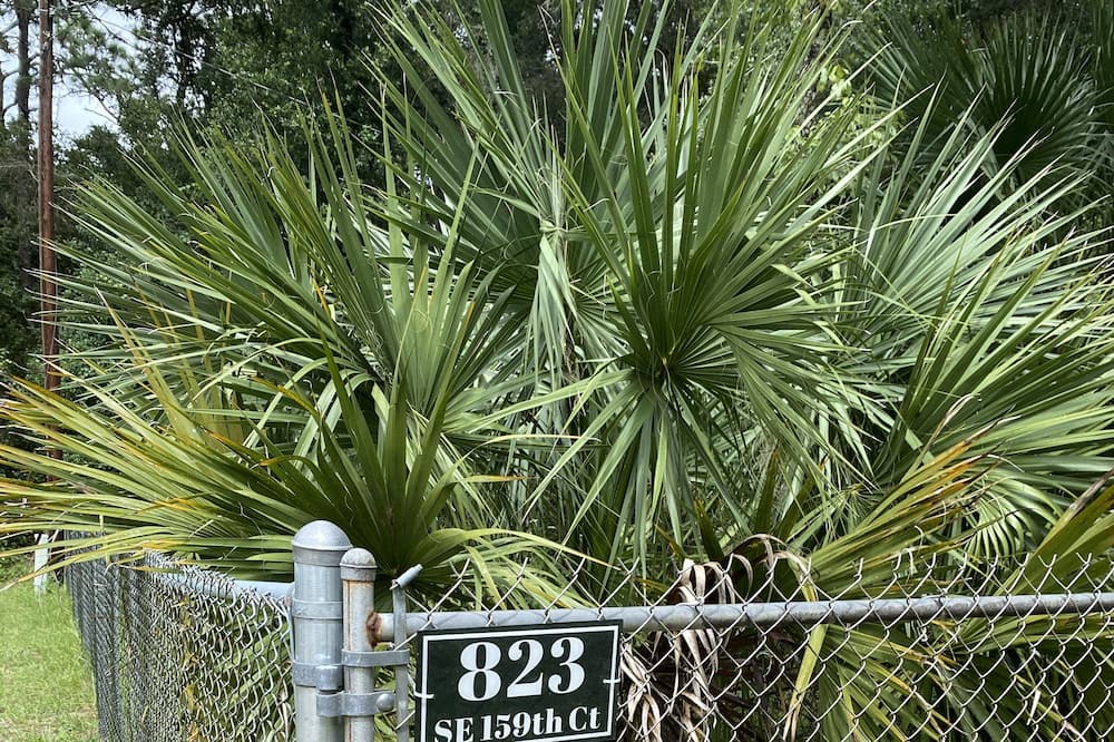 Photo of Others in Ocklawaha