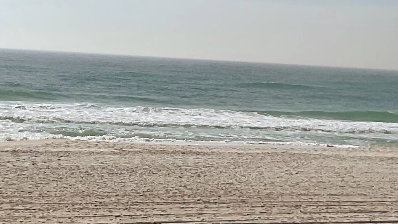 Photo of Others in El Centro Beach