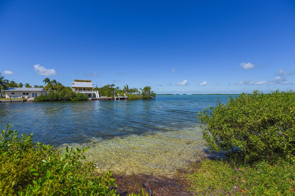 Photo of Others in Key West