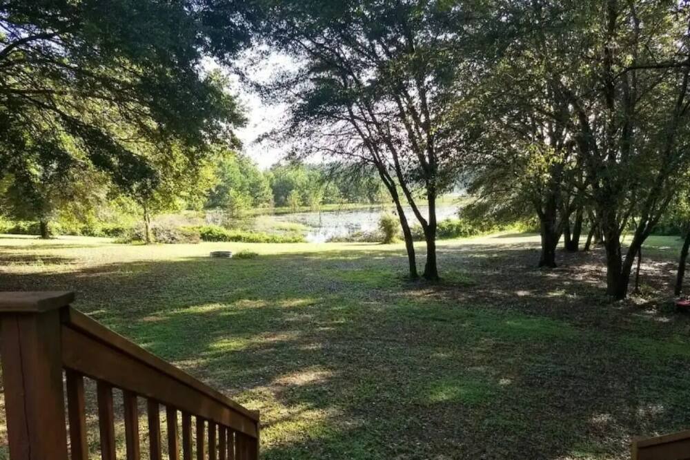 Photo of Others in Ocklawaha