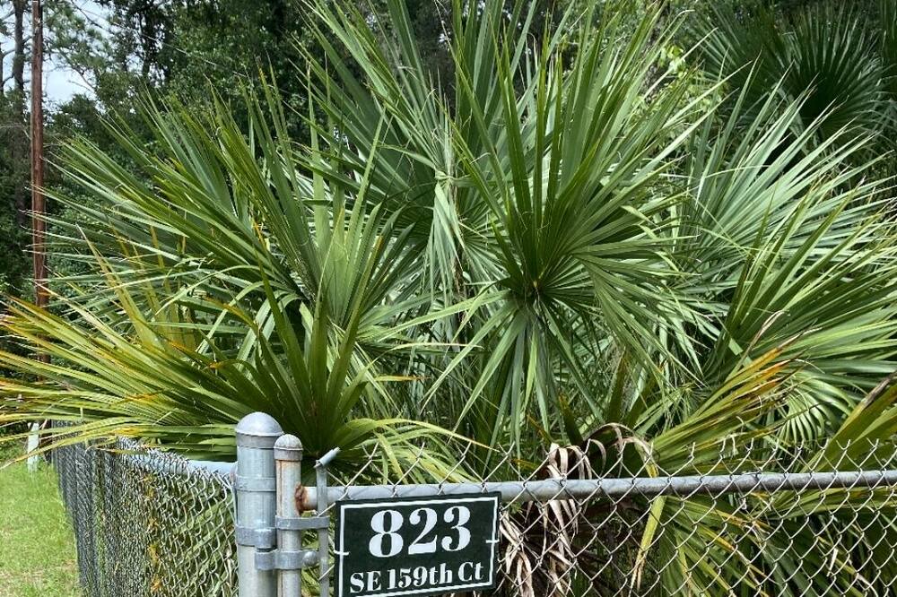 Photo of Others in Ocklawaha