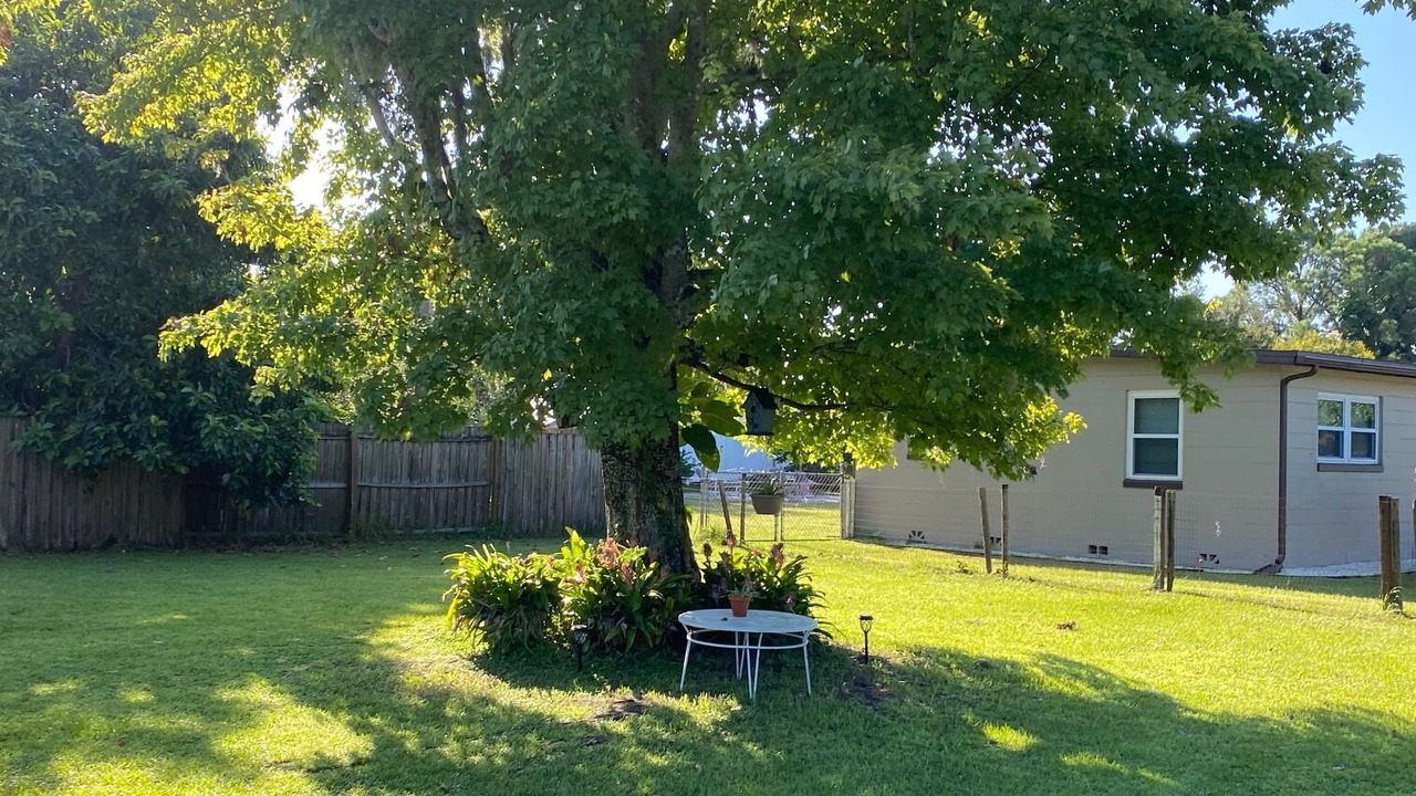 Photo of Outdoor in Historic Downtown Kissimmee