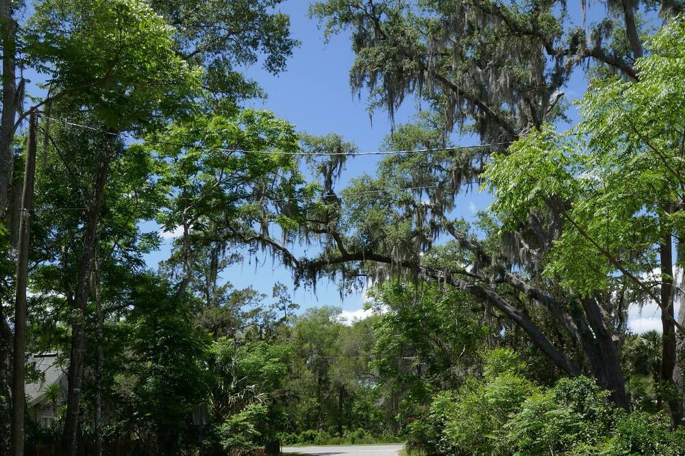 Photo of Outdoor in Blue Lake