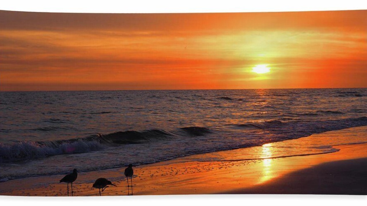 Photo of Others in Redington Beach