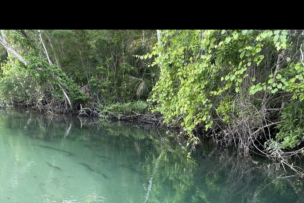 Photo of Outdoor in Weeki Wachee Gardens