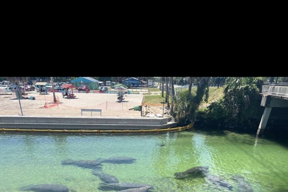 Photo of Others in Weeki Wachee Gardens
