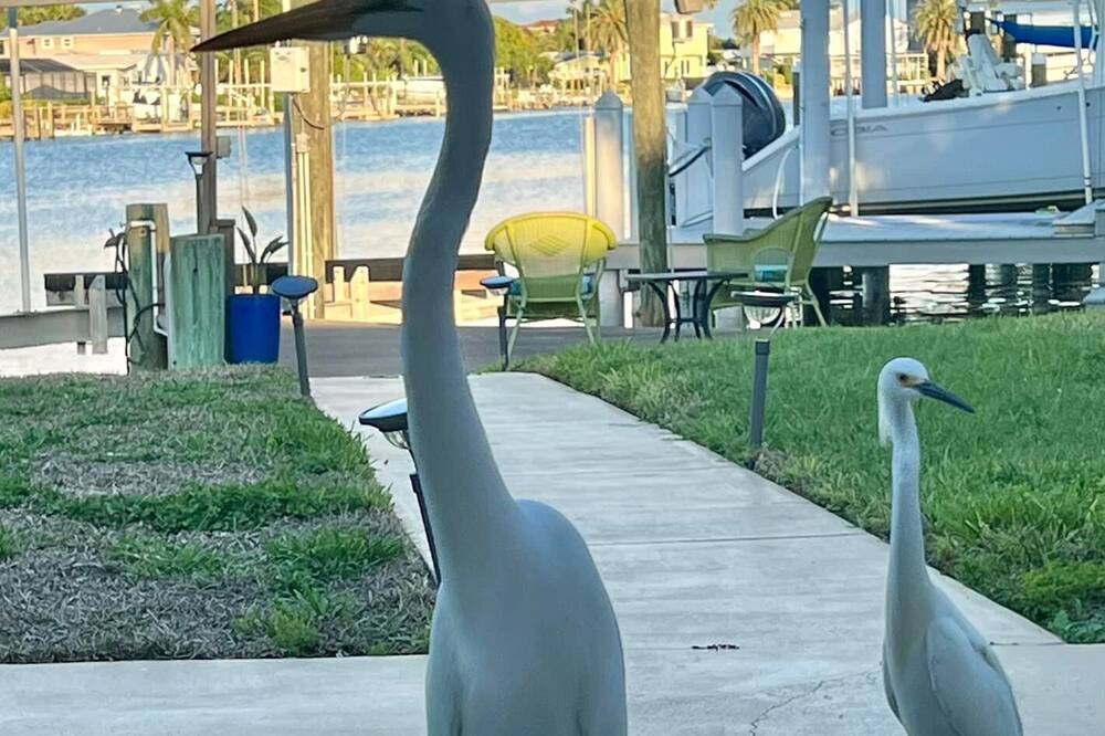 Photo of Outdoor in Pass-a-Grille
