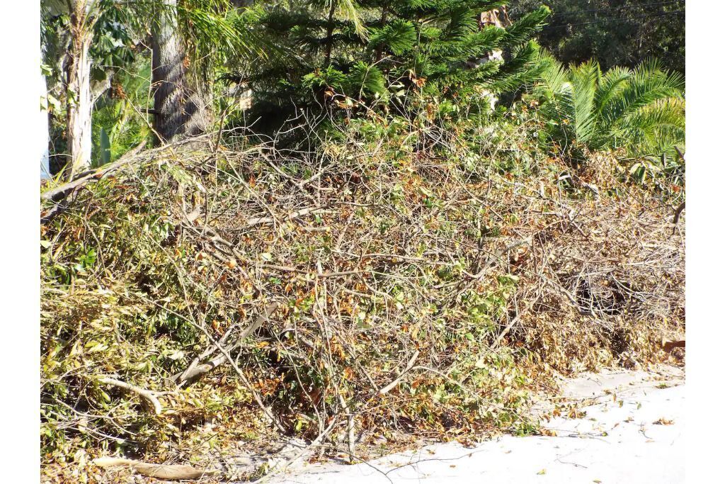 Photo of Outdoor in Largo
