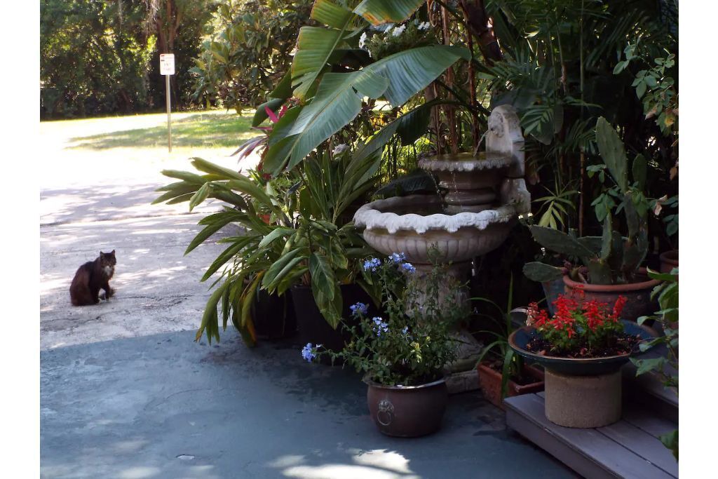 Photo of Outdoor in Largo