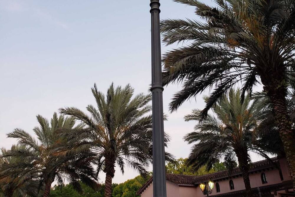 Photo of Outdoor in Greater Groves