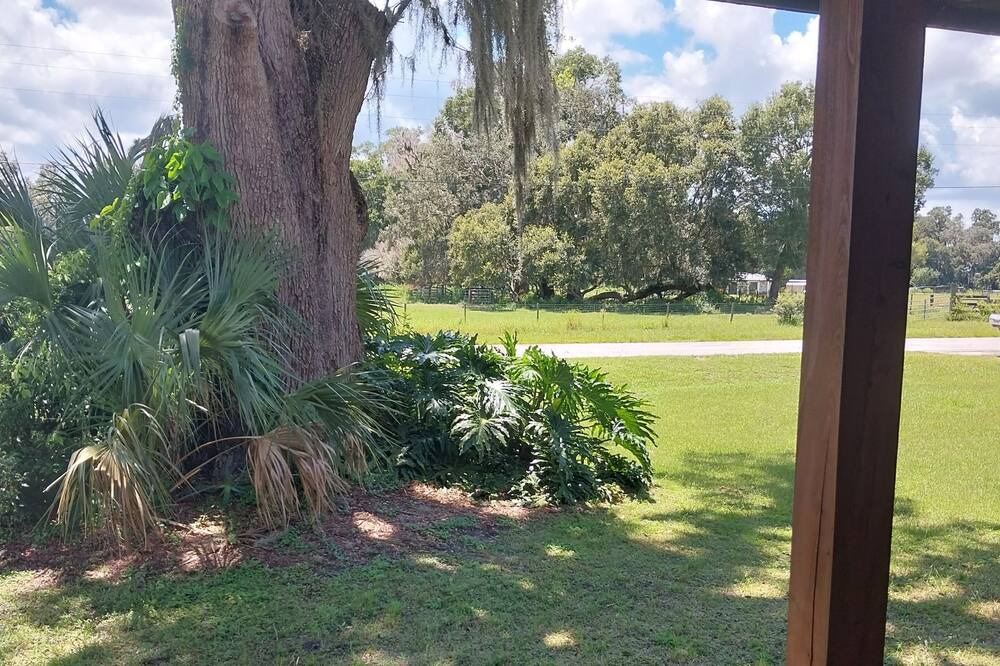Photo of Outdoor in Webster