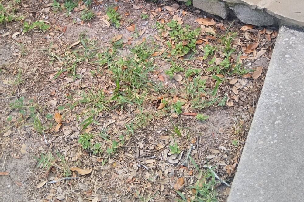 Photo of Outdoor in Webster