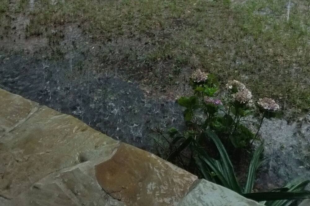 Photo of Outdoor in Webster