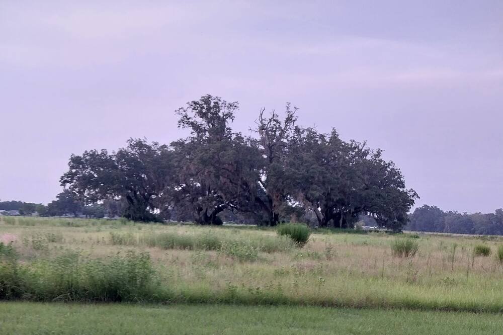 Photo of Others in Webster