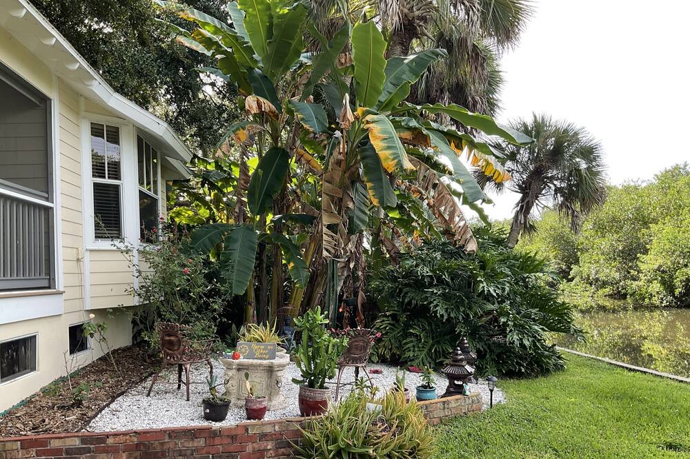 Photo of Outdoor in New Smyrna Beach