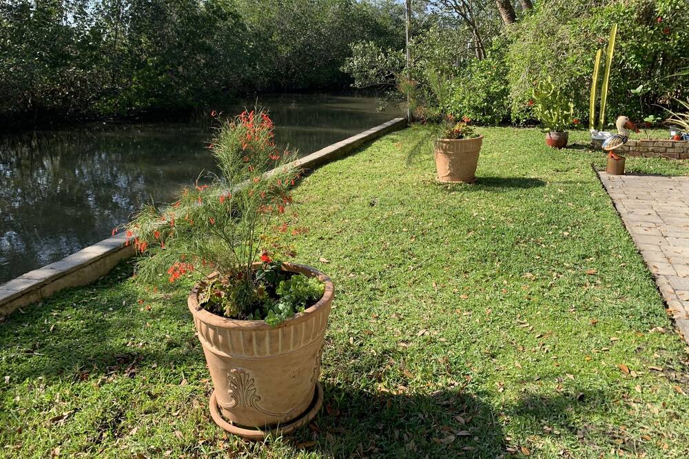 Photo of Outdoor in New Smyrna Beach