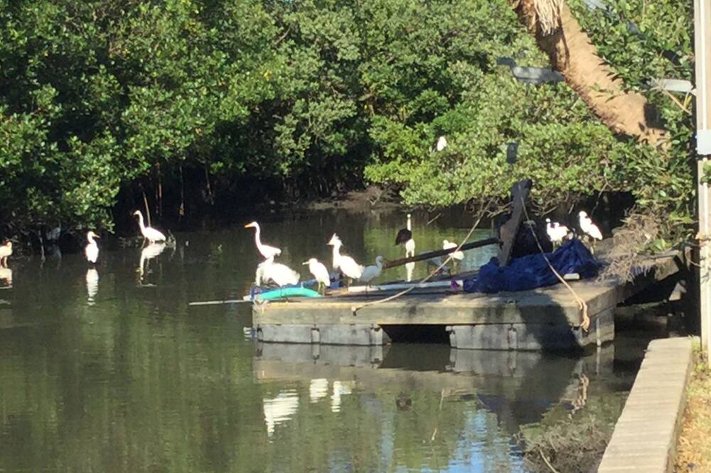 Photo of Outdoor in New Smyrna Beach
