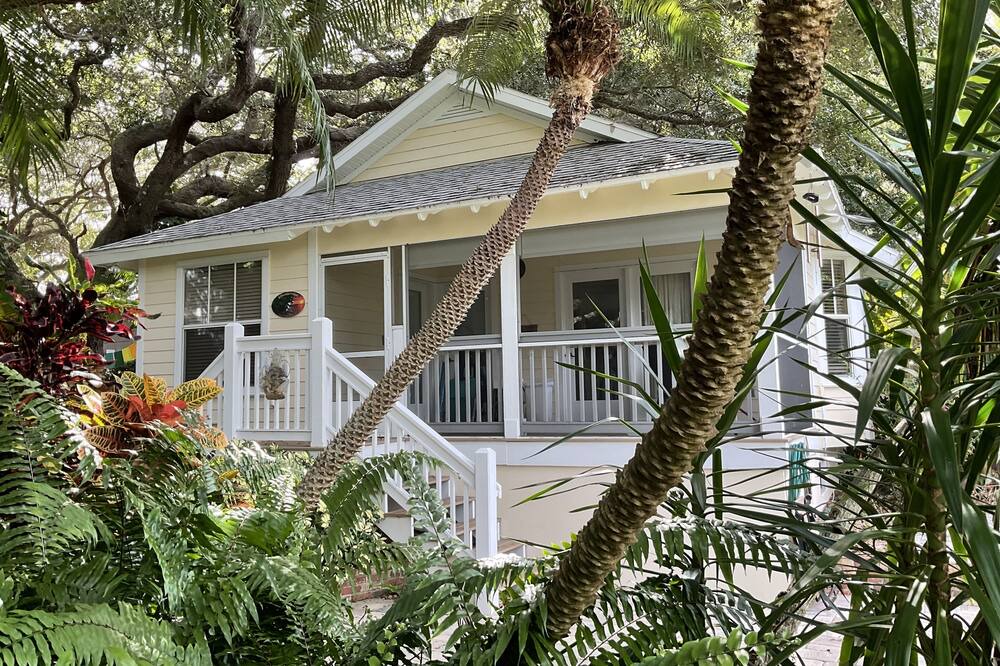 Photo of Outdoor in New Smyrna Beach