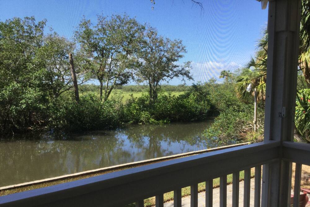 Photo of Outdoor in New Smyrna Beach