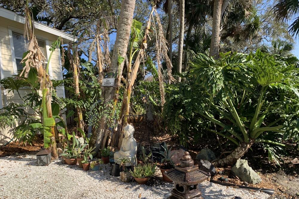 Photo of Outdoor in New Smyrna Beach