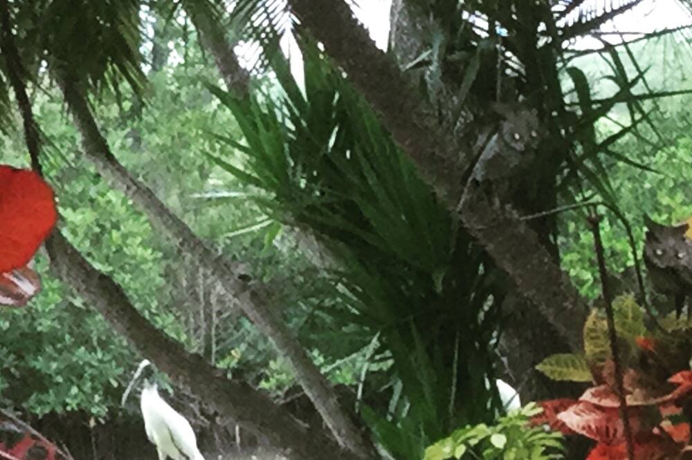 Photo of Outdoor in New Smyrna Beach
