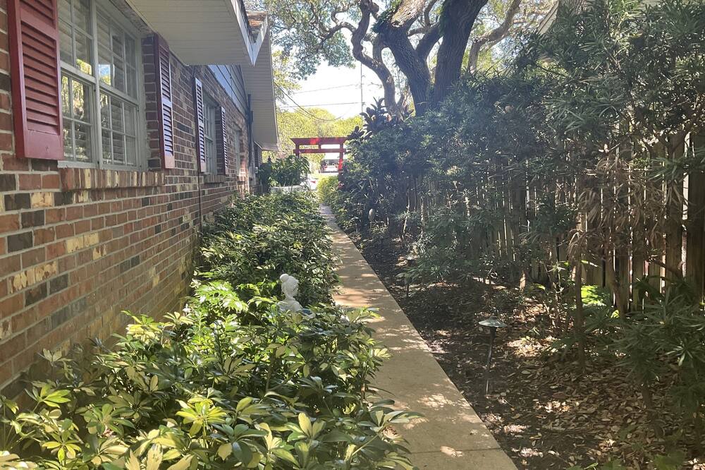 Photo of Outdoor in New Smyrna Beach