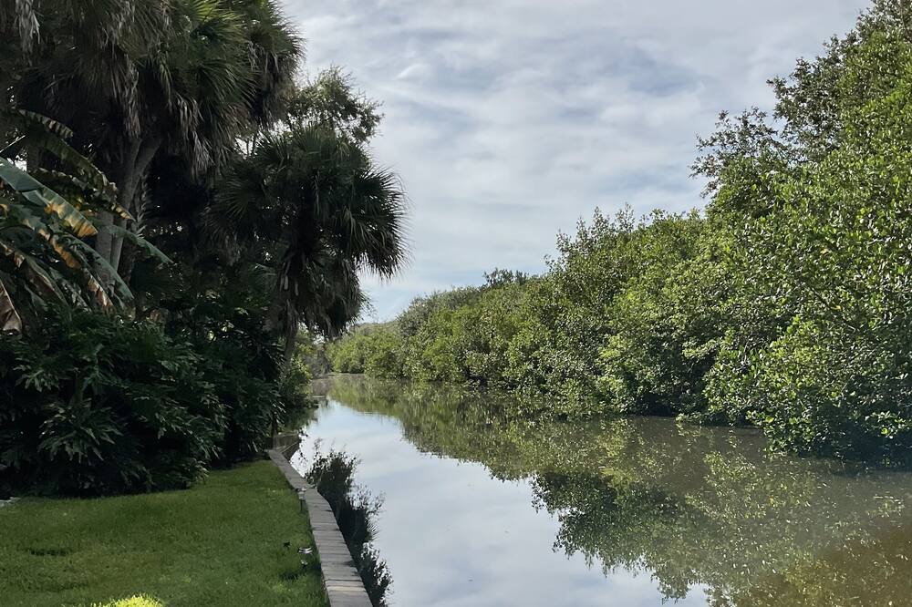 Photo of Outdoor in New Smyrna Beach