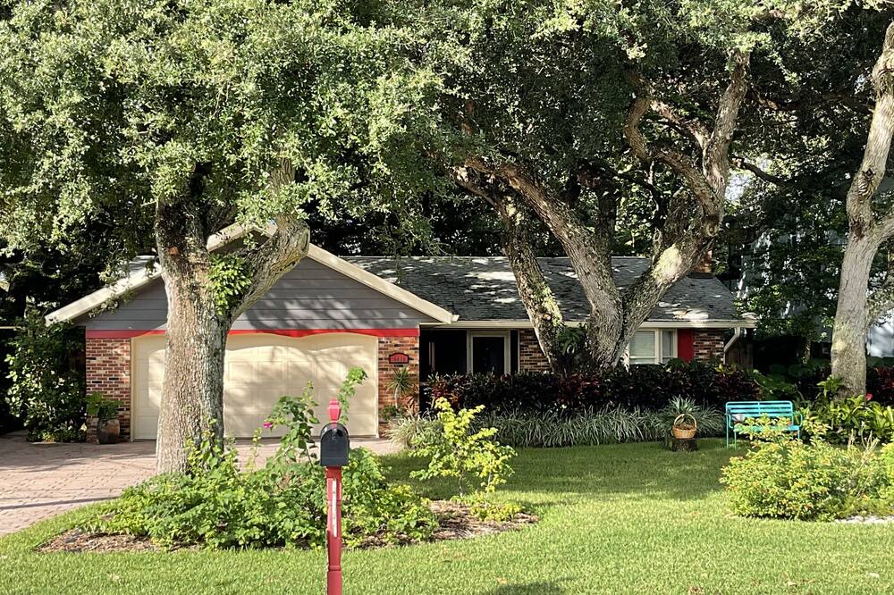 Photo of Outdoor in New Smyrna Beach