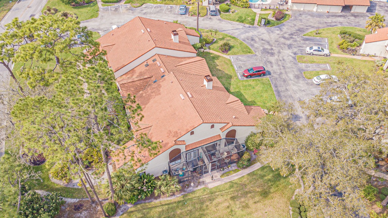 Photo of Outdoor in Saddlebrook