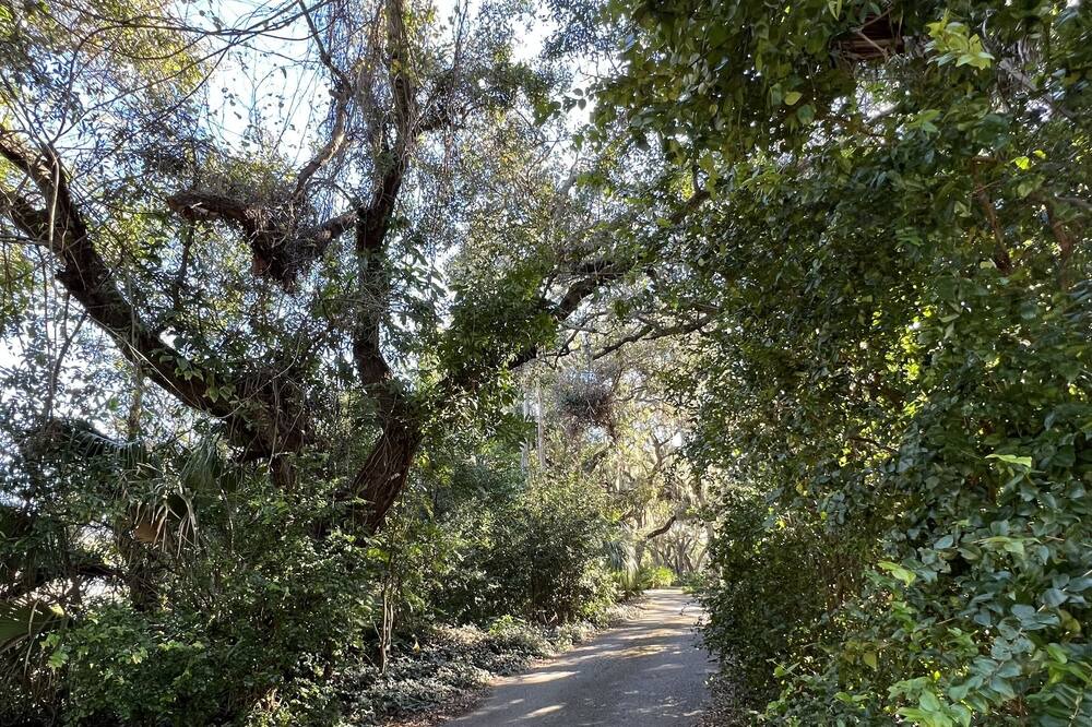 Photo of Outdoor in Disston Heights