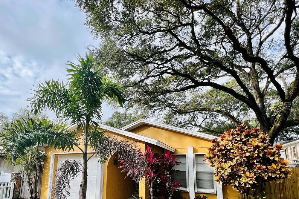 Photo of Outdoor in Disston Heights