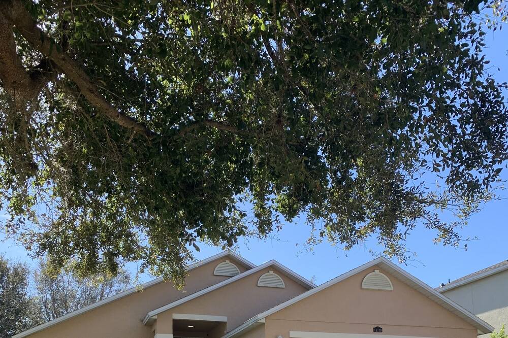 Photo of Outdoor in Orlando