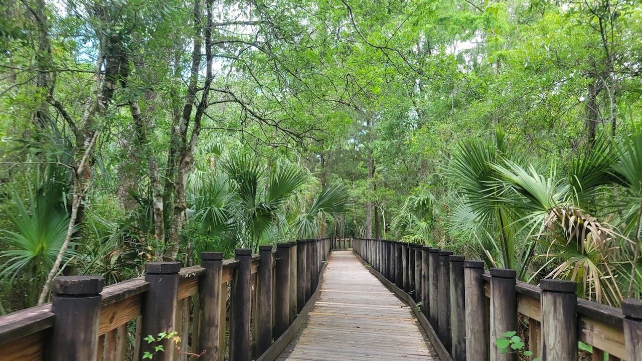 Photo of Outdoor in New Port Richey
