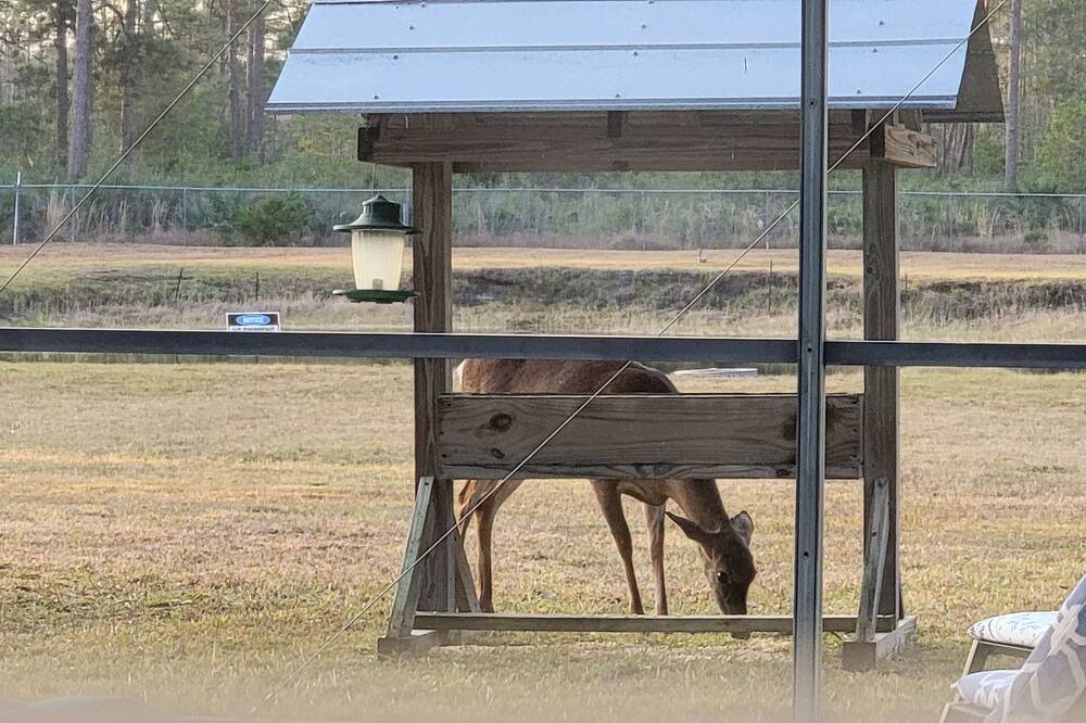 Photo of Others in Wedgefield