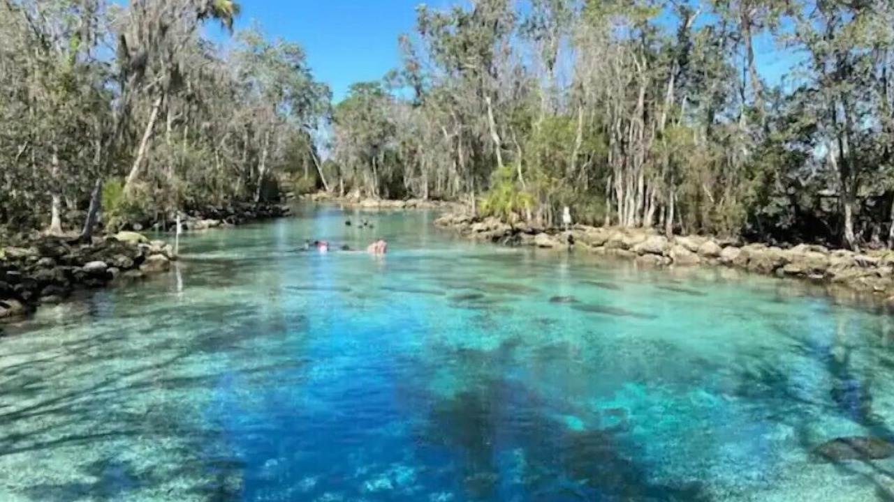 Photo of Others in Crystal River