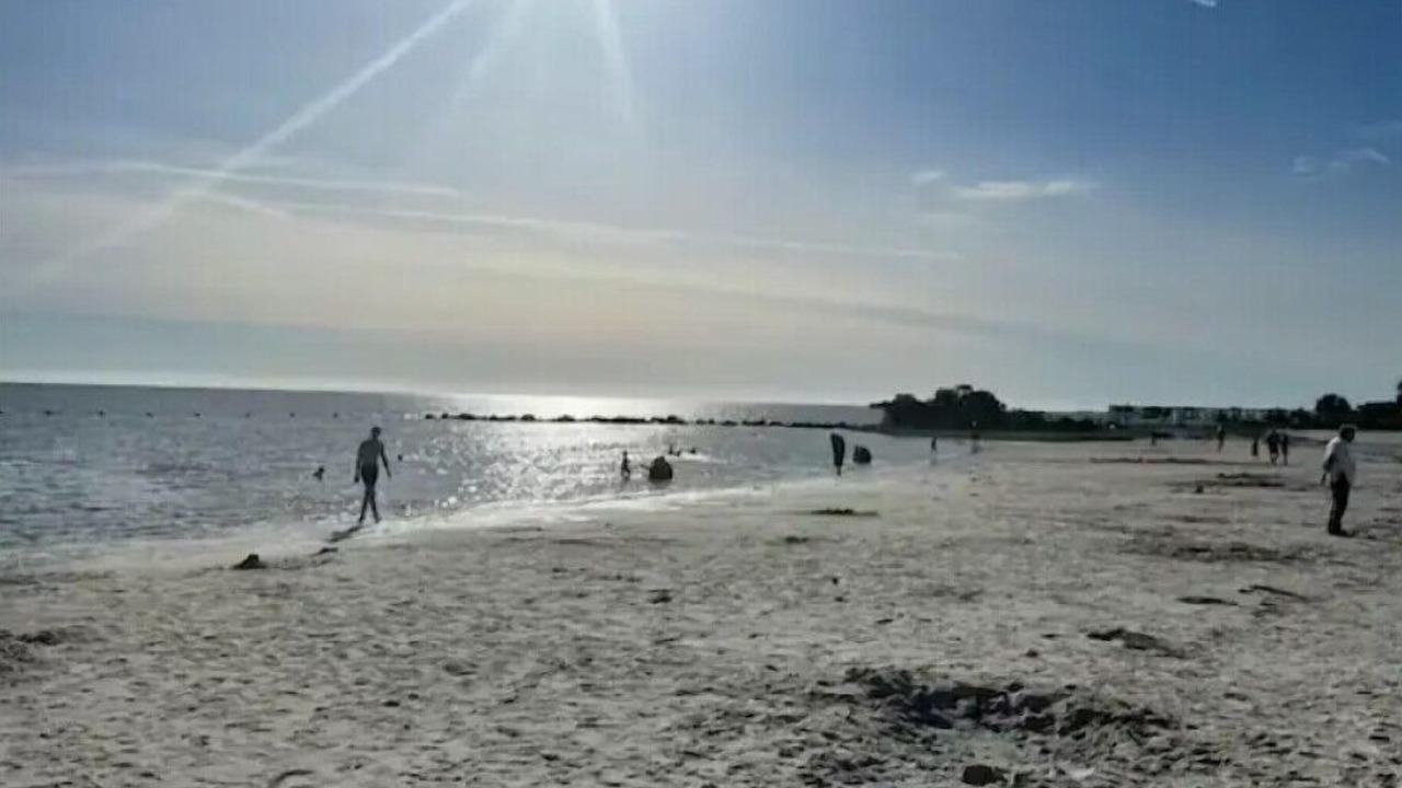 Photo of Others in Crystal River