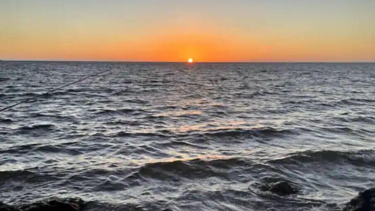 Photo of Others in Crystal River