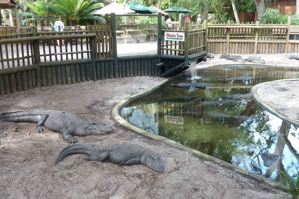 Photo of Outdoor in Homestead