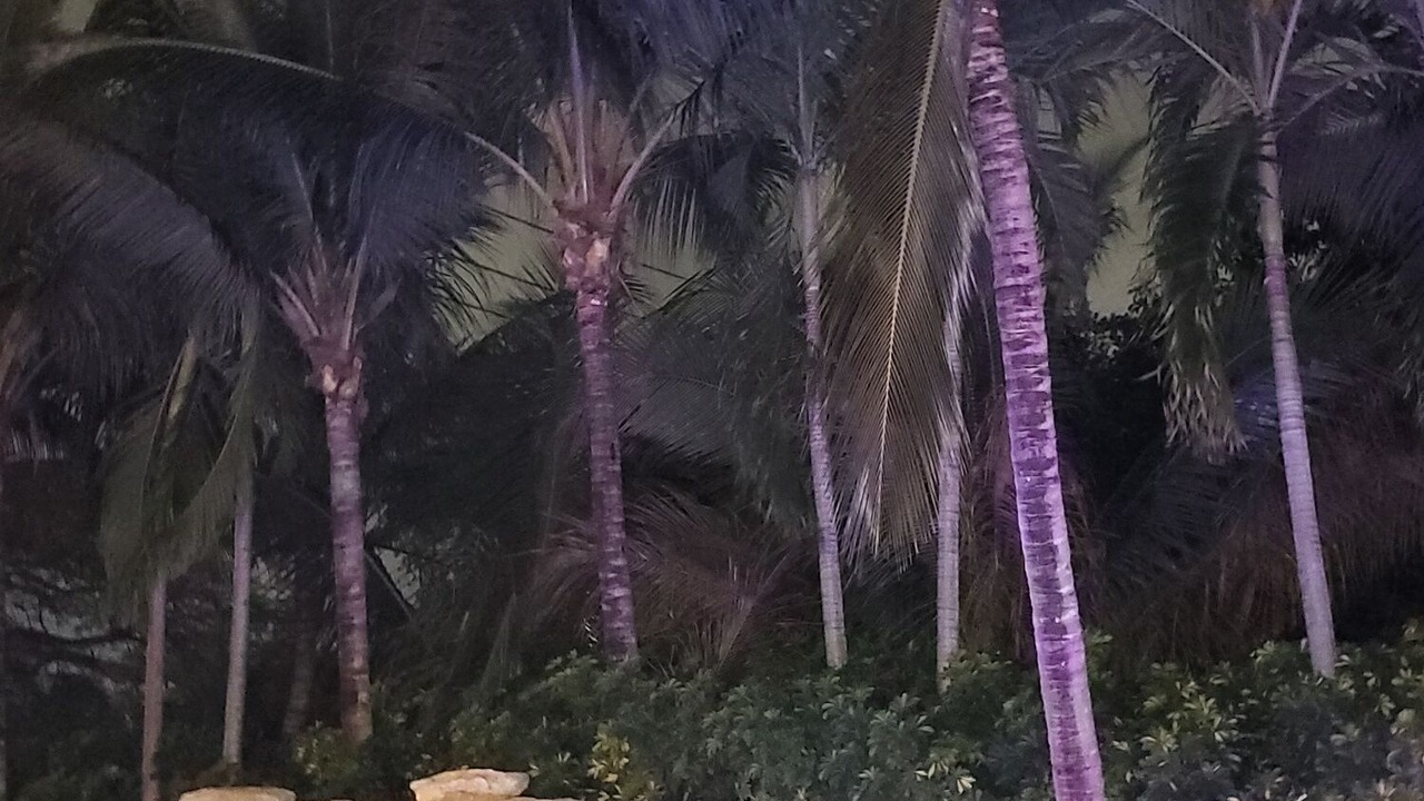 Photo of Outdoor in Palmetto Bay
