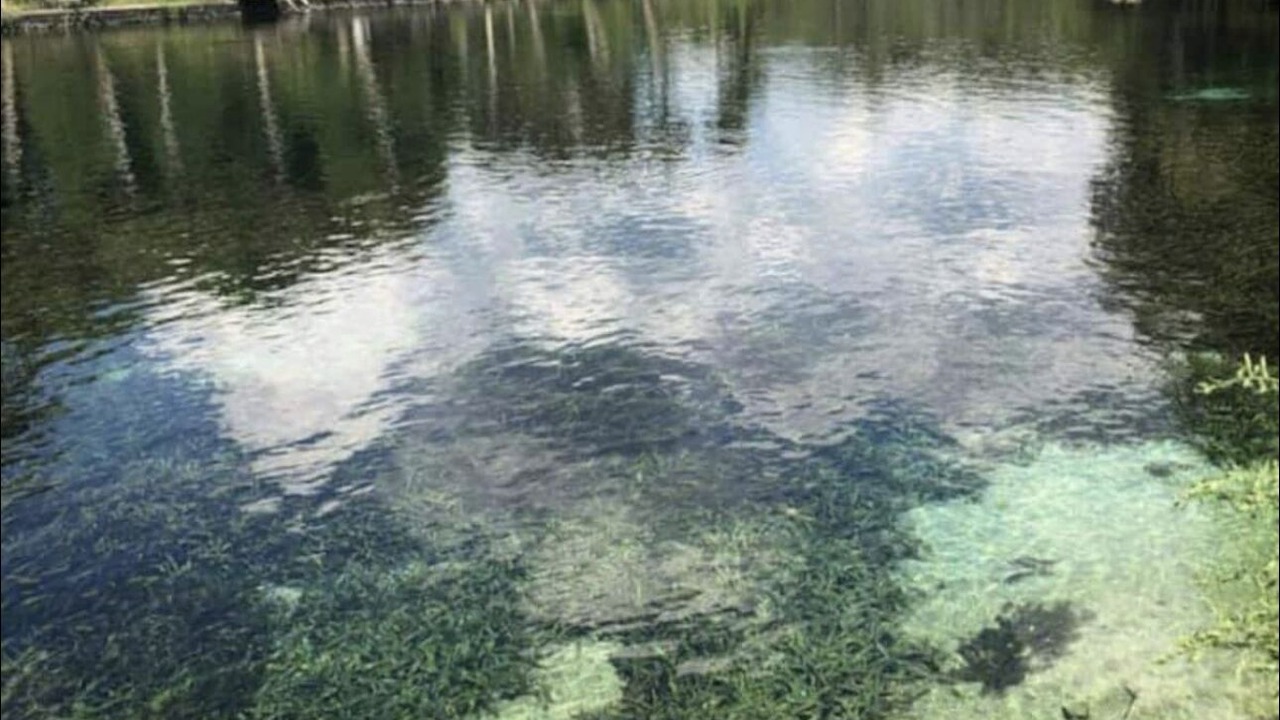 Photo of Outdoor in Citrus Springs