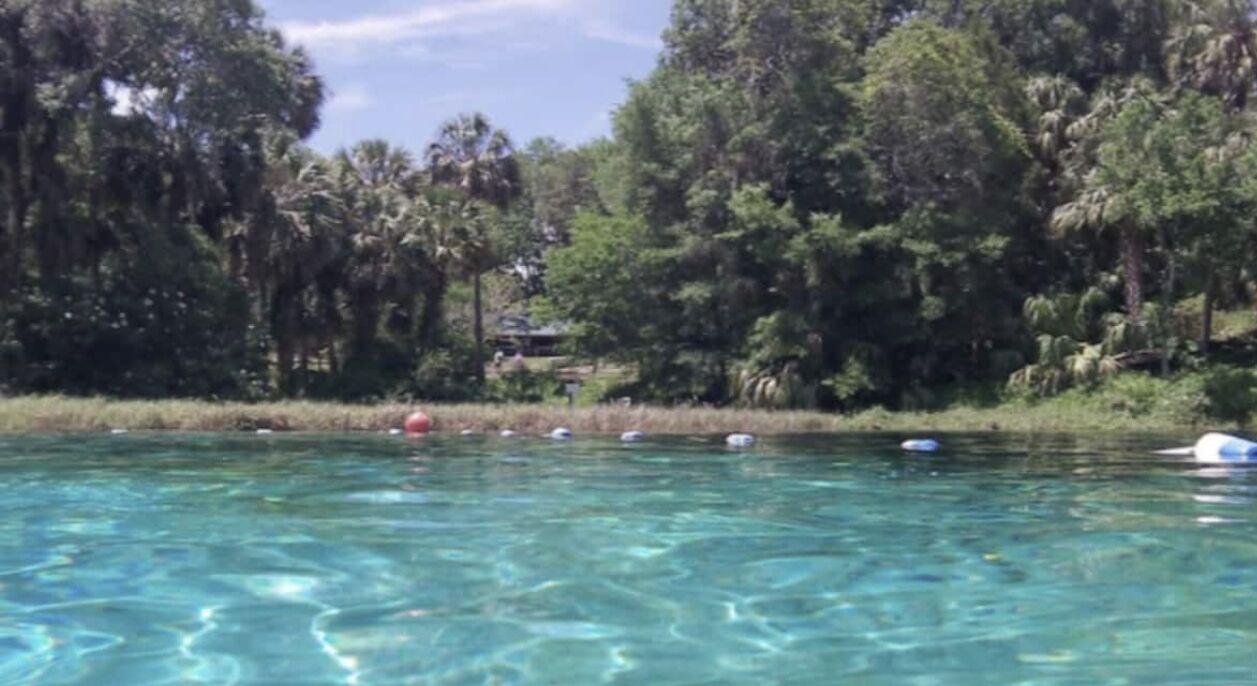 Photo of Outdoor in Citrus Springs