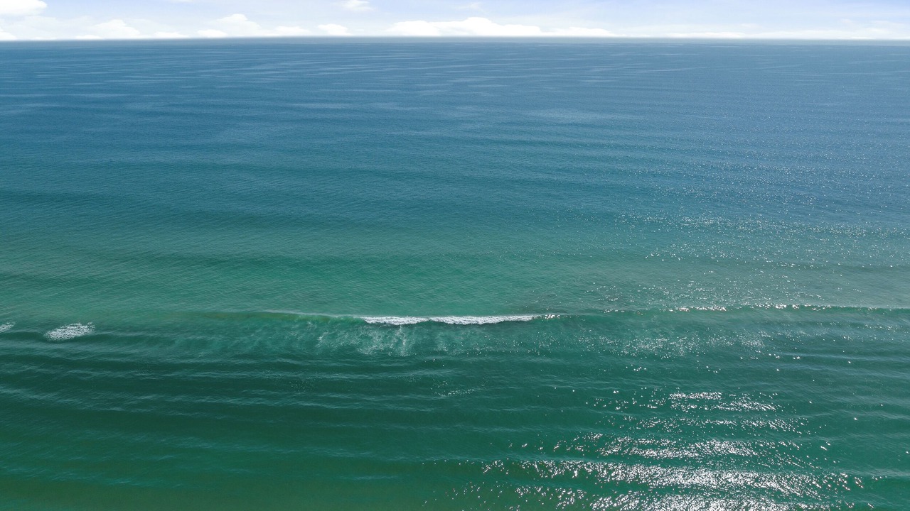 Photo of Others in Point East