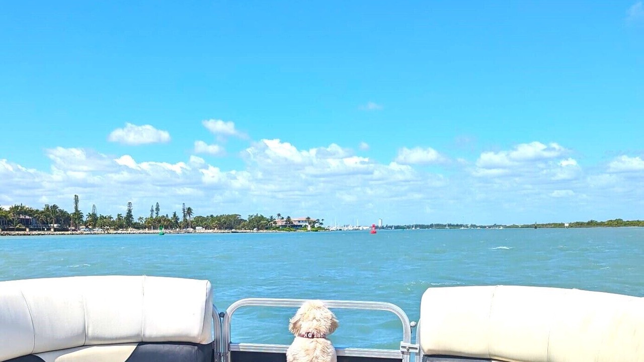 Photo of Outdoor in Fort Pierce