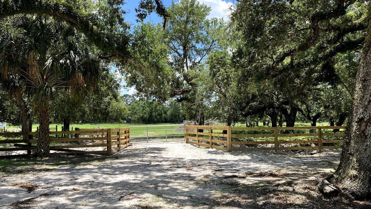 Photo of Outdoor in Arcadia
